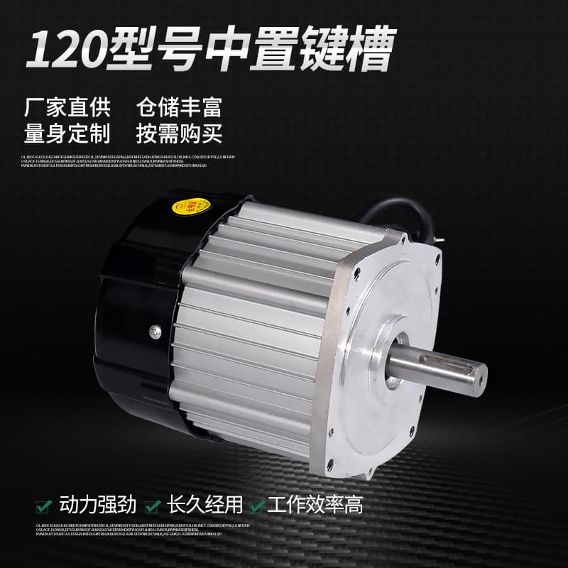 Factory Direct Brushless 120 Differential Electric Vehicle E-bike DC Brushless Motor Copper Core Chain Motor
