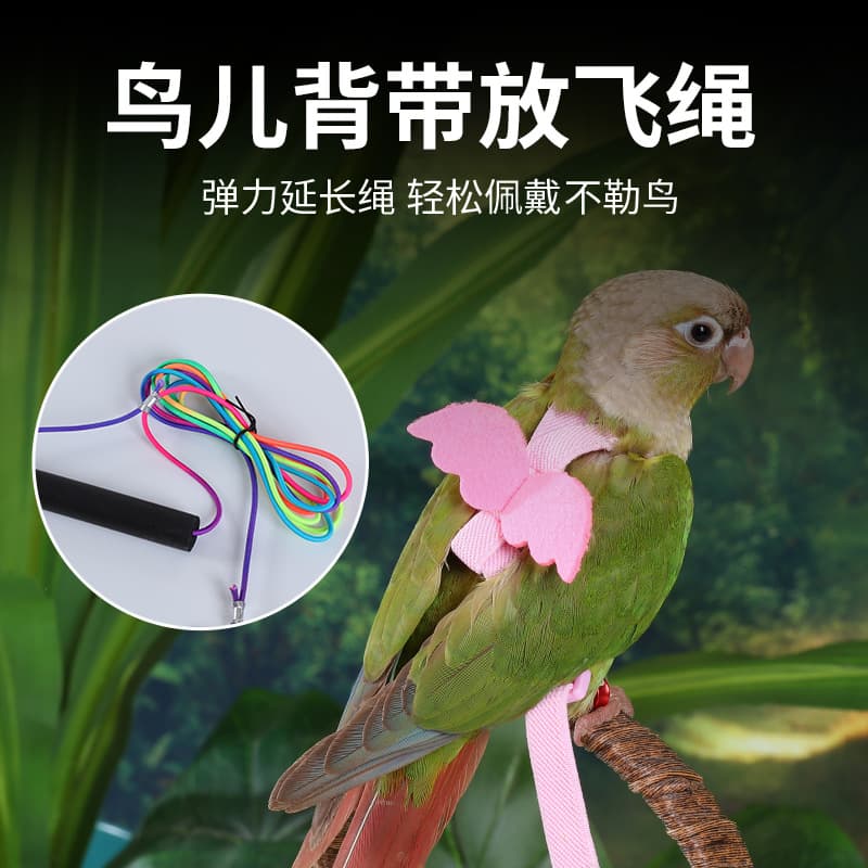 Bird Parrot Flight Harness Leash for Cockatiel, Budgie, Lovebird, Outdoor Flying Vest, Walking Tool, Toy