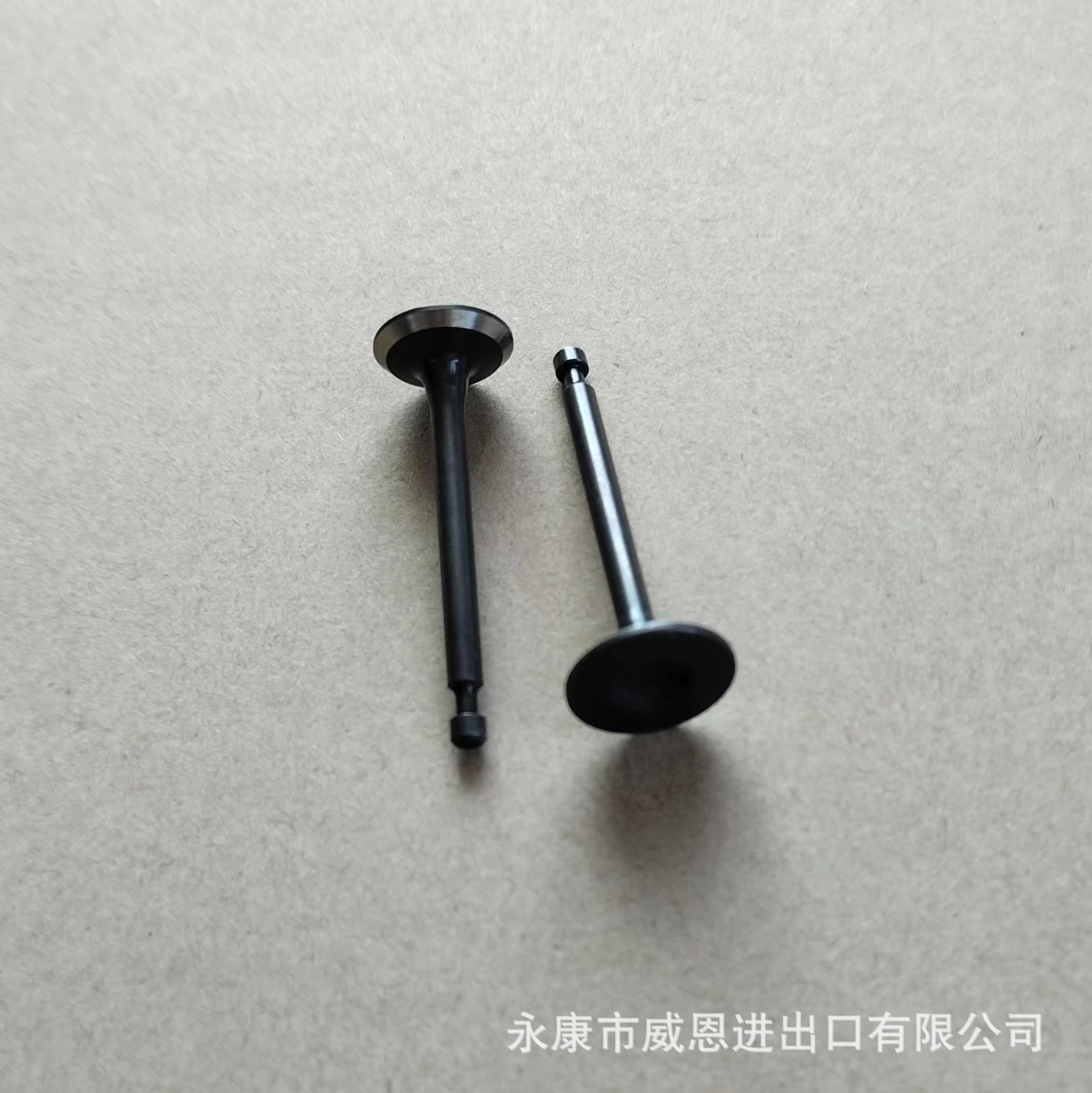 140/GX35 Valves (2 pieces per set) Lawn Mower Parts
