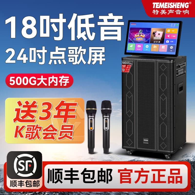 Temaisheng TMS5 Square Dance Speaker with Display, Portable Outdoor KTV Speaker for Stage Performance, Built-in Sound Card