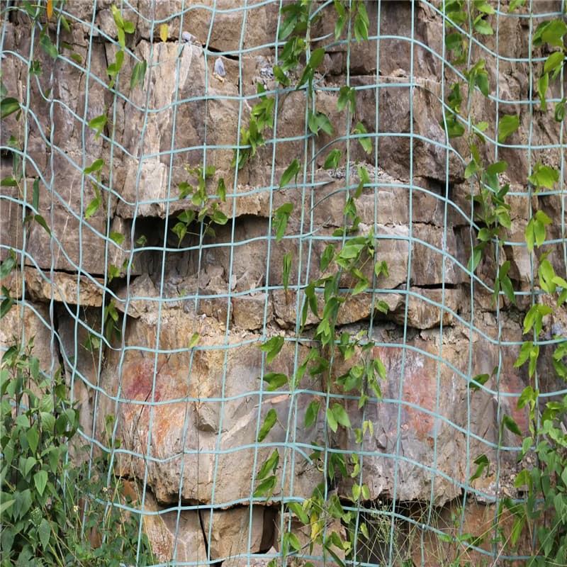 Slope greening climbing net, rattan climbing net, plant climbing net, green climbing net, rattan climbing net