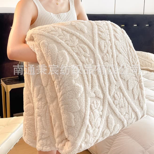 Foreign trade new taffeta plus velvet thickened blanket milk velvet sofa cover blanket nap blanket velvet sheets