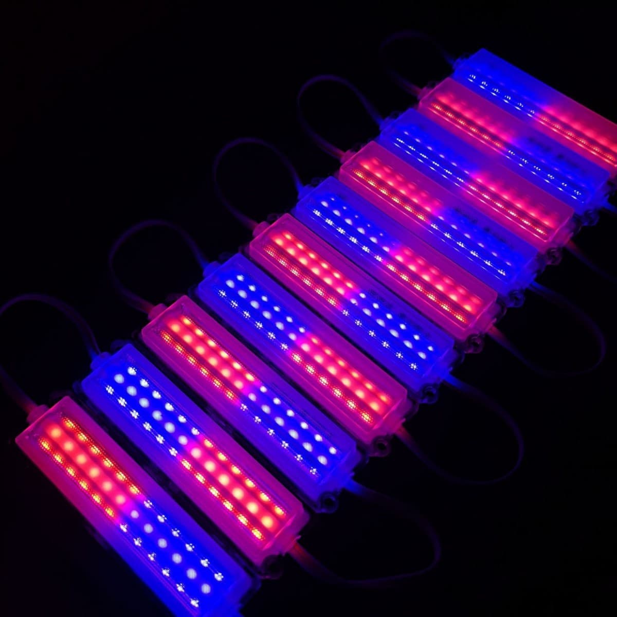 DC12V 2835 ultrasonic three-bar LED module, 12 lights/9525 red-blue flashing