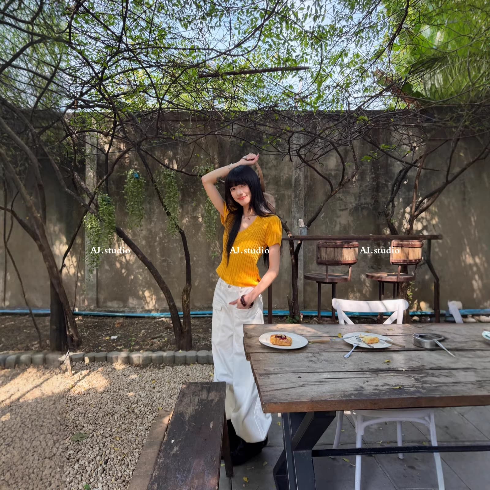 【AJ.STUDIO】V-Neck Minimalist Fashion Short-Sleeve Knit Top X8602