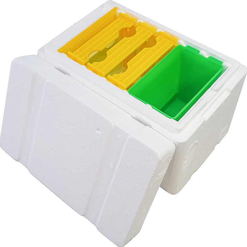 Beekeeping Tool Foam Beehive Bee Mating Box Foam Queen Rearing Box Green Box Bee Queen Rearing Box