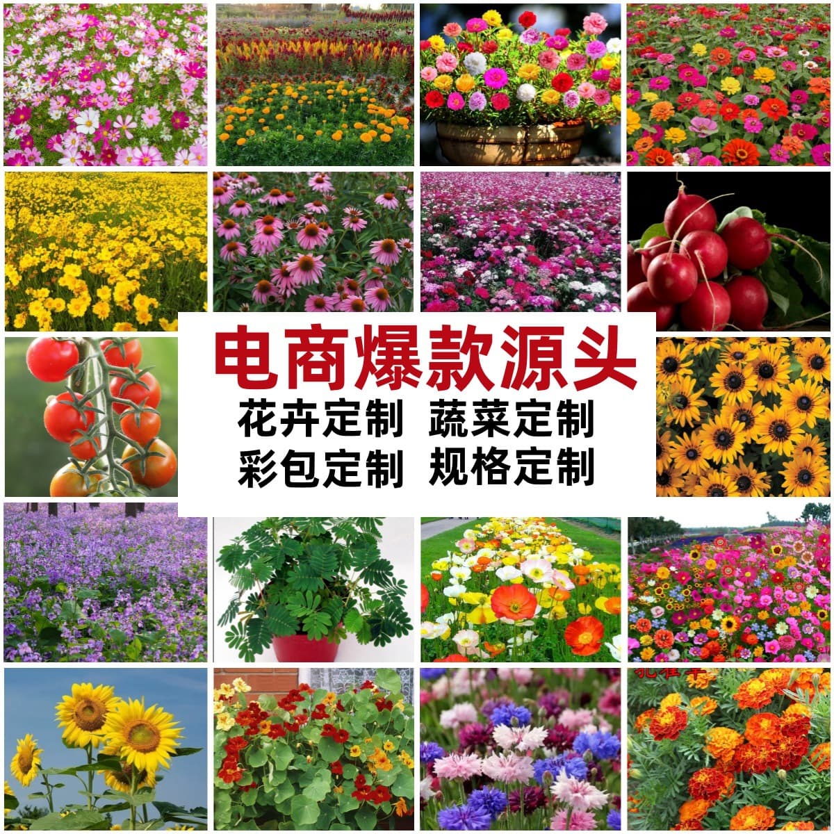 Cross-Border Transparent Small Candy Bags for Seeds, Grass, Flowers, Vegetables, Floral Packaging, Children's Gifts, Student Toys