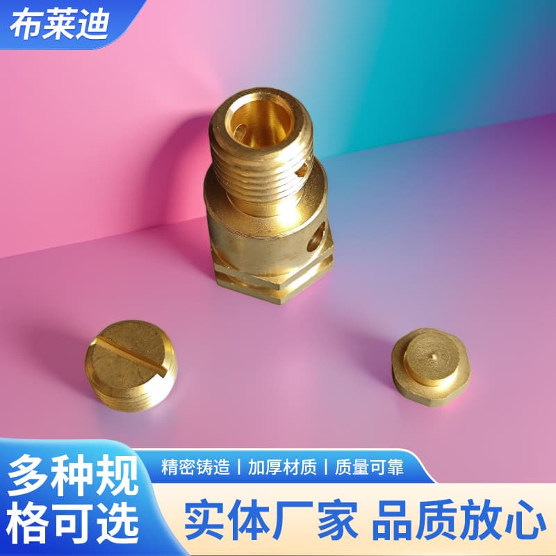 Hand-held high-temperature steam cleaning machine without lock safety valve all-copper water pipe plug wire plug cap plug quarter pipe cap
