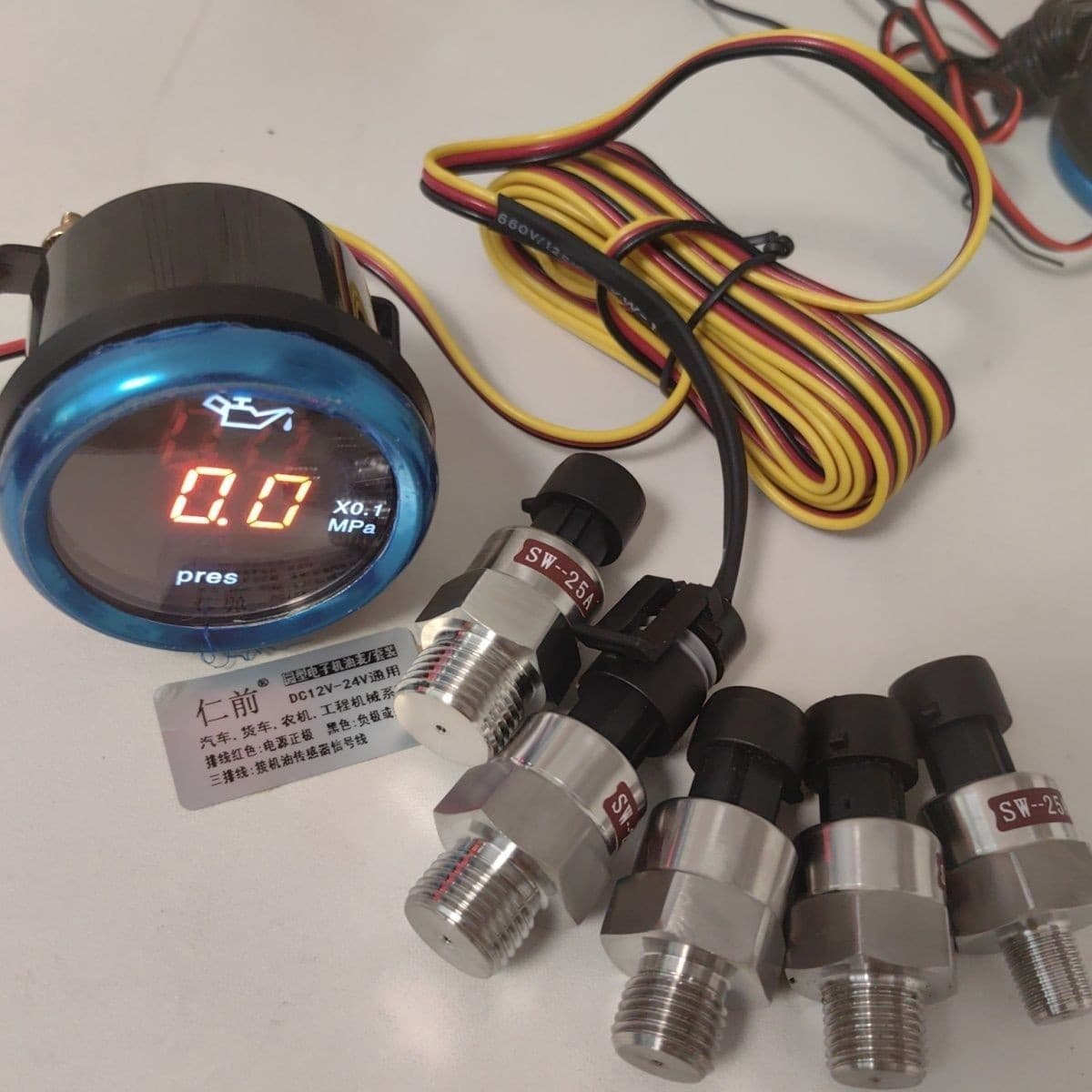 Cross-border Automotive 12/24V Universal Round Digital Oil Gauge Round 52MM with Plug Flashing Alarm Electronic