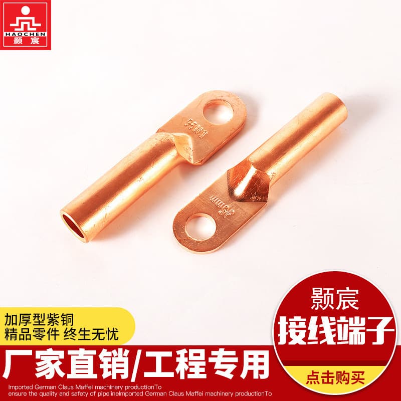 Copper Lug DT National Standard Purple Copper Terminal 10-630 Wire Cable Terminal Cross-border Manufacturer