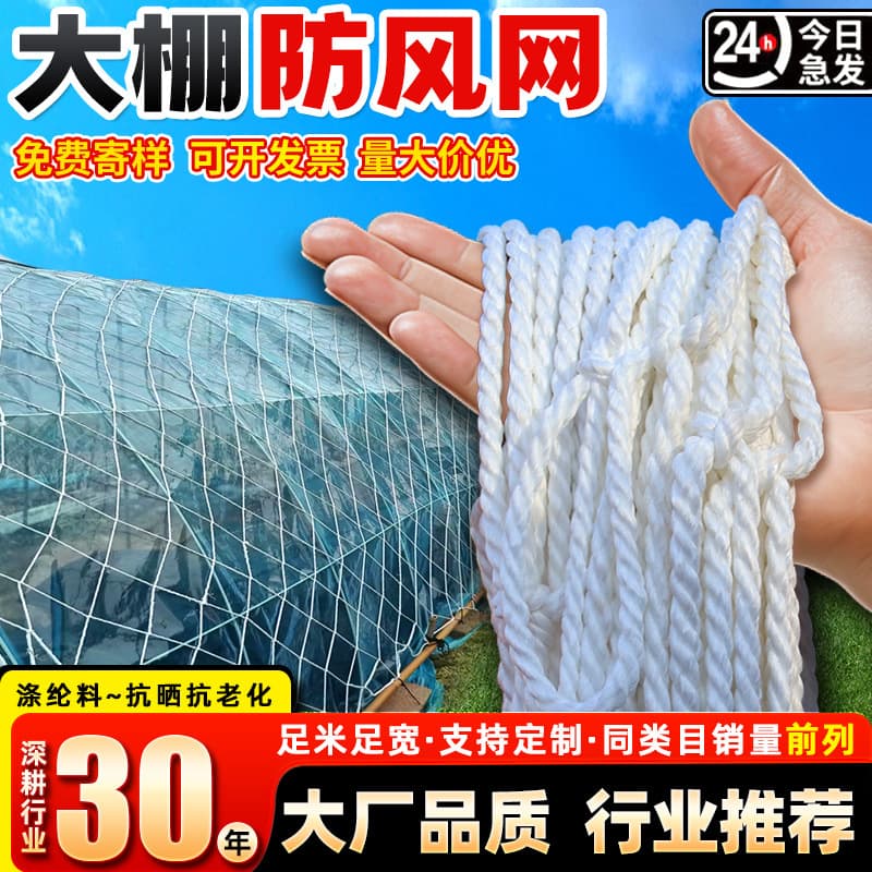 Greenhouse net, vegetable greenhouse windbreak net, large-hole film pressing nylon net for crop protection and covering stacks