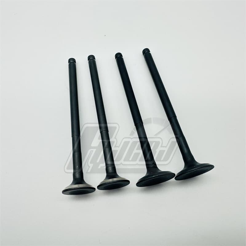 Supporting Lin Hai Motorcycle NMAX NVX155 New Intake and Exhaust Valve 4V 20