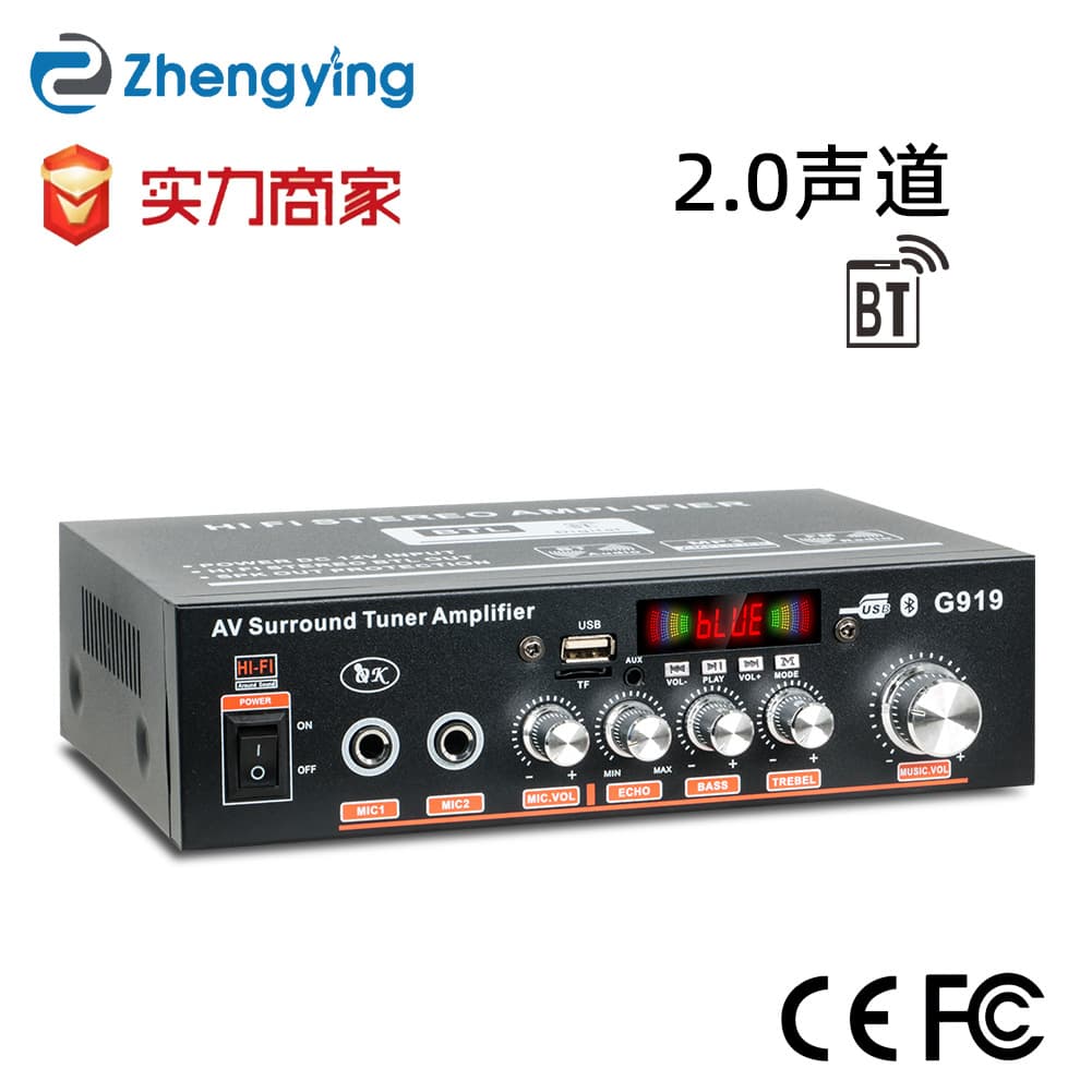 G919 Digital Mini Small Amplifier Speaker Power Amplifier with USB/SD Card Radio 12V 220V