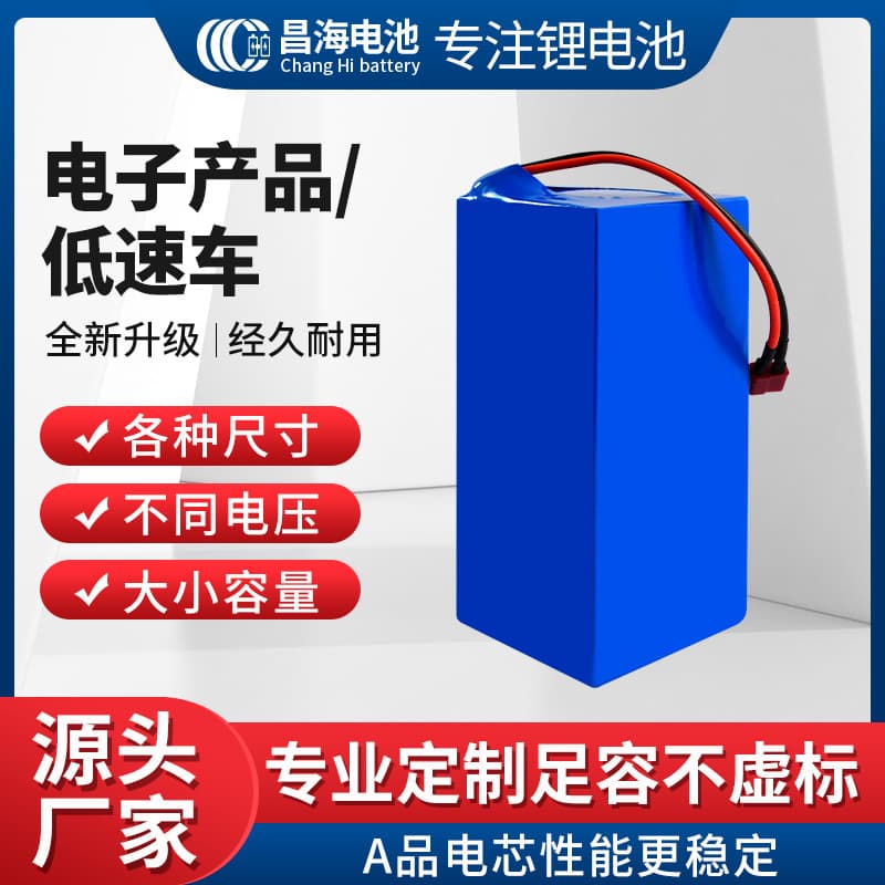 Electric Balance Scooter 24V 36V Commuter 10.4AH Bicycle Scooter 12.5AH Lithium Battery LiFePO4
