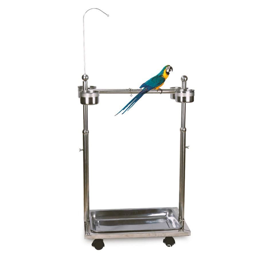 Parrot Perch Stand Stainless Steel Bird Stand Pet Bird Perch Rack Ornamental Bird Stand Small Bird Leg Ring Leg Chain