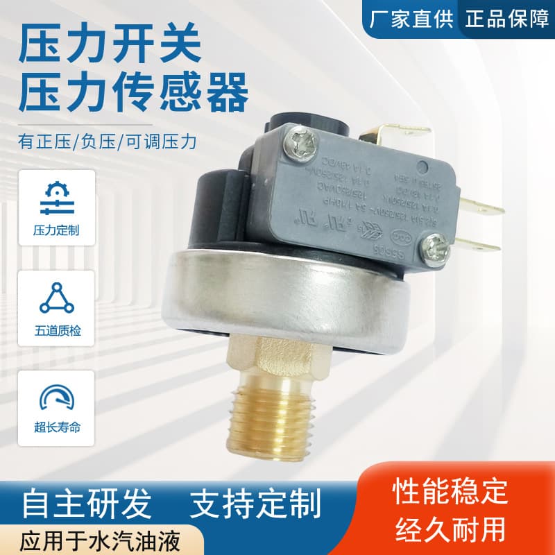 Sample Link Steam Pressure Switch Miniature High Temperature Cleaning Machine Electric Iron Boiler Generator Micro Switch