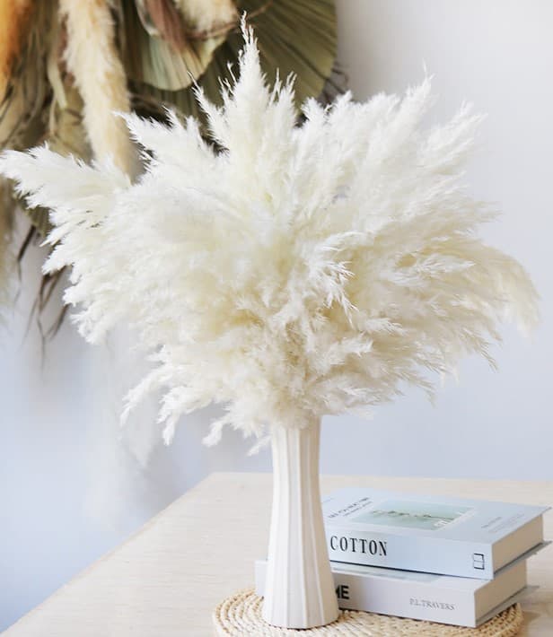 Reed Pampas Grass Amazon Nordic Pampas Grass Bouquet DIY Yunnan Dried Flower Wholesale Handmade Dried Flower Bouquet Preserved Flowers
