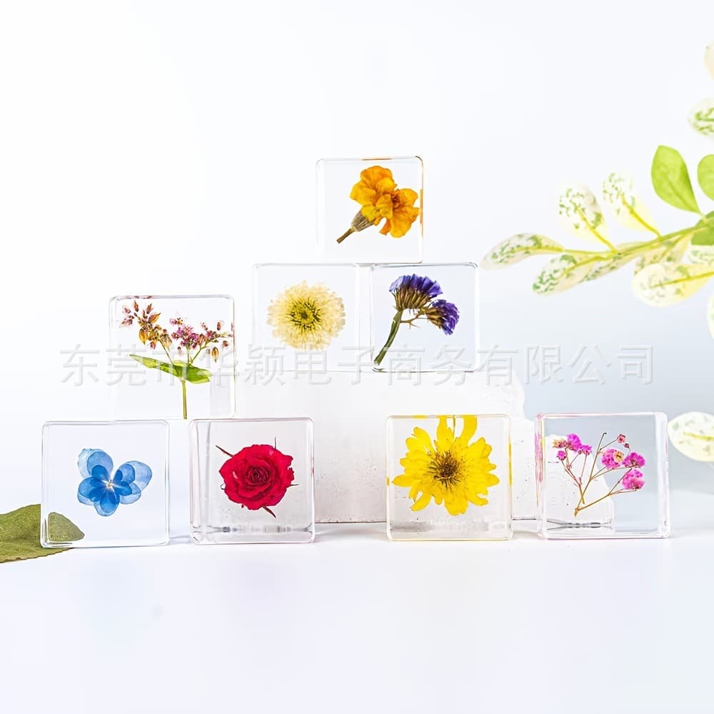 Cross-Border Trade Square Transparent Resin Natural Real Flower Specimens Creative Eternal Flower Embedded Craft Ornaments