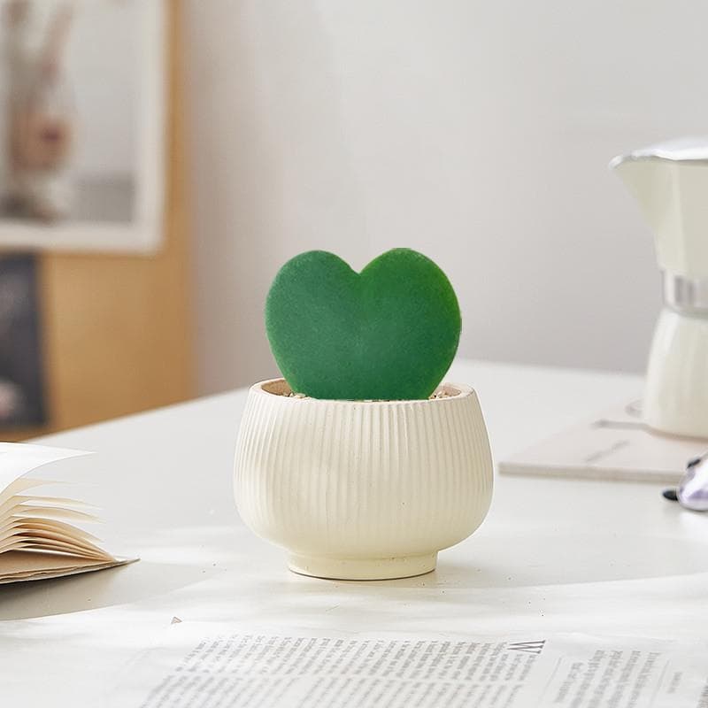 Succulent Plant Heart Leaf Hoya Cactus Healing Plant Heart-Shaped Green Plant Desktop Mini Ins