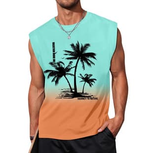 Cross-Border Men's Hawaii Vacation 3D Digital Print Loose Casual Men's Vest, Source Factory