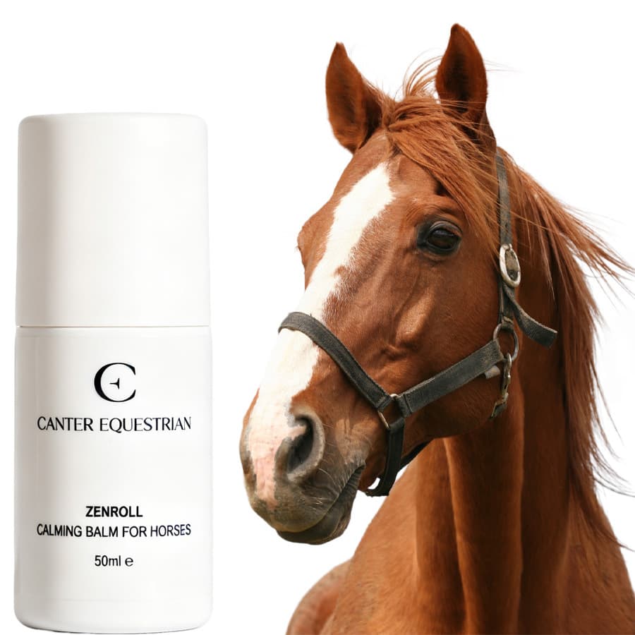 Cross-border CALMING BALM FOR HORSES horse soothing rolling ball ointment for horses nervous and anxious soothing fragrance