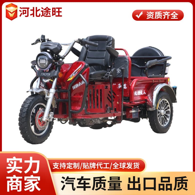 Home Mobility Scooter for Elderly Disabled Tricycle Fuel Engine Small Three-Wheeled Motorcycle for School Runs