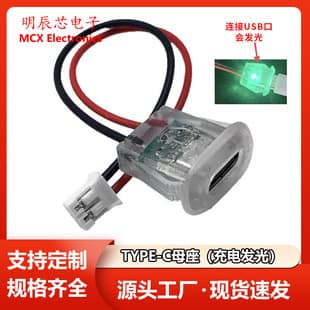 Type-C Charging Glowing Female Socket, Power Extension Cable, Transparent Injection Molded Electronic USB with Light Female Head with Terminals