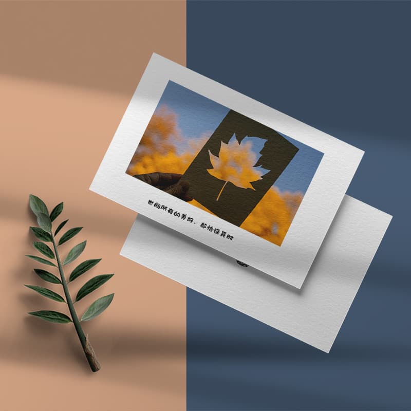 After-sales card, postcard, warranty card design, small square card printing, wedding thank-you letter, takeout card, scratch card