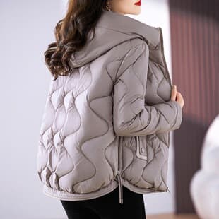 2023 New Women's Hooded Short Lightweight Down Cotton Coat Ladies Autumn Winter Plus Size Outerwear Wholesale