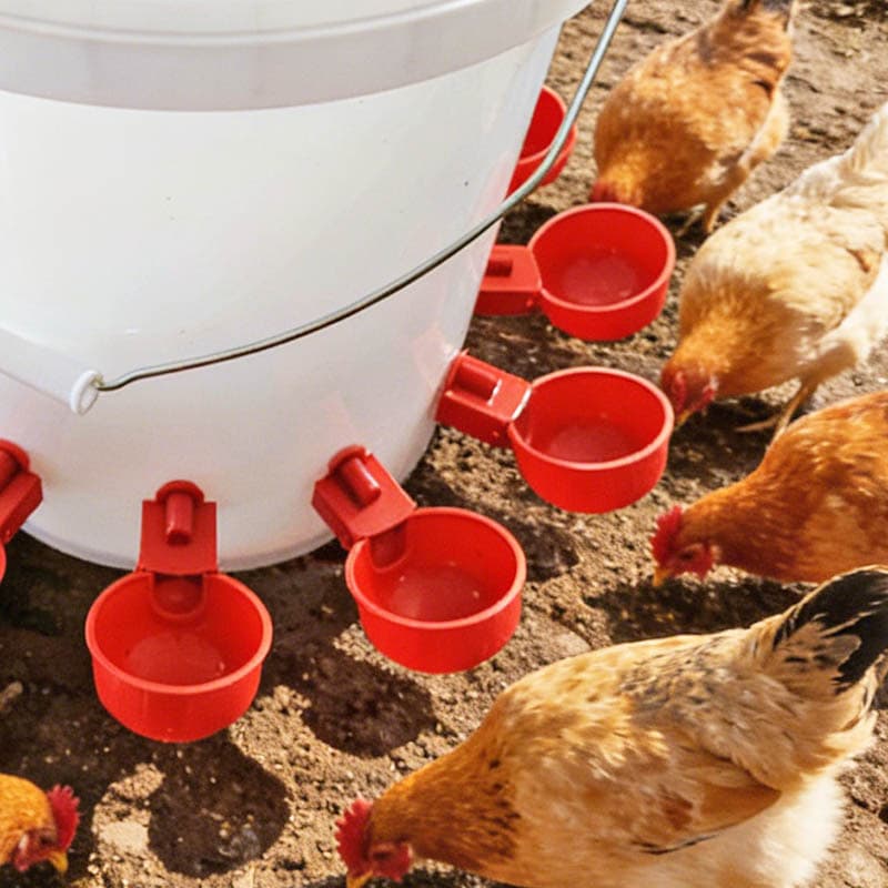 Automatic Chicken Waterer Drinking Bowl for Chickens Ducks Geese Quail Pigeons Poultry Automatic Water Dispenser