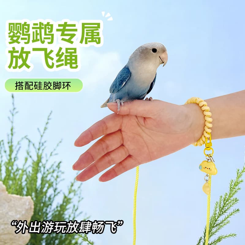 Parrot flying rope does not hurt feet, black phoenix, tiger skin, little sun go out, special retractable traction rope, outdoor bird walking artifact