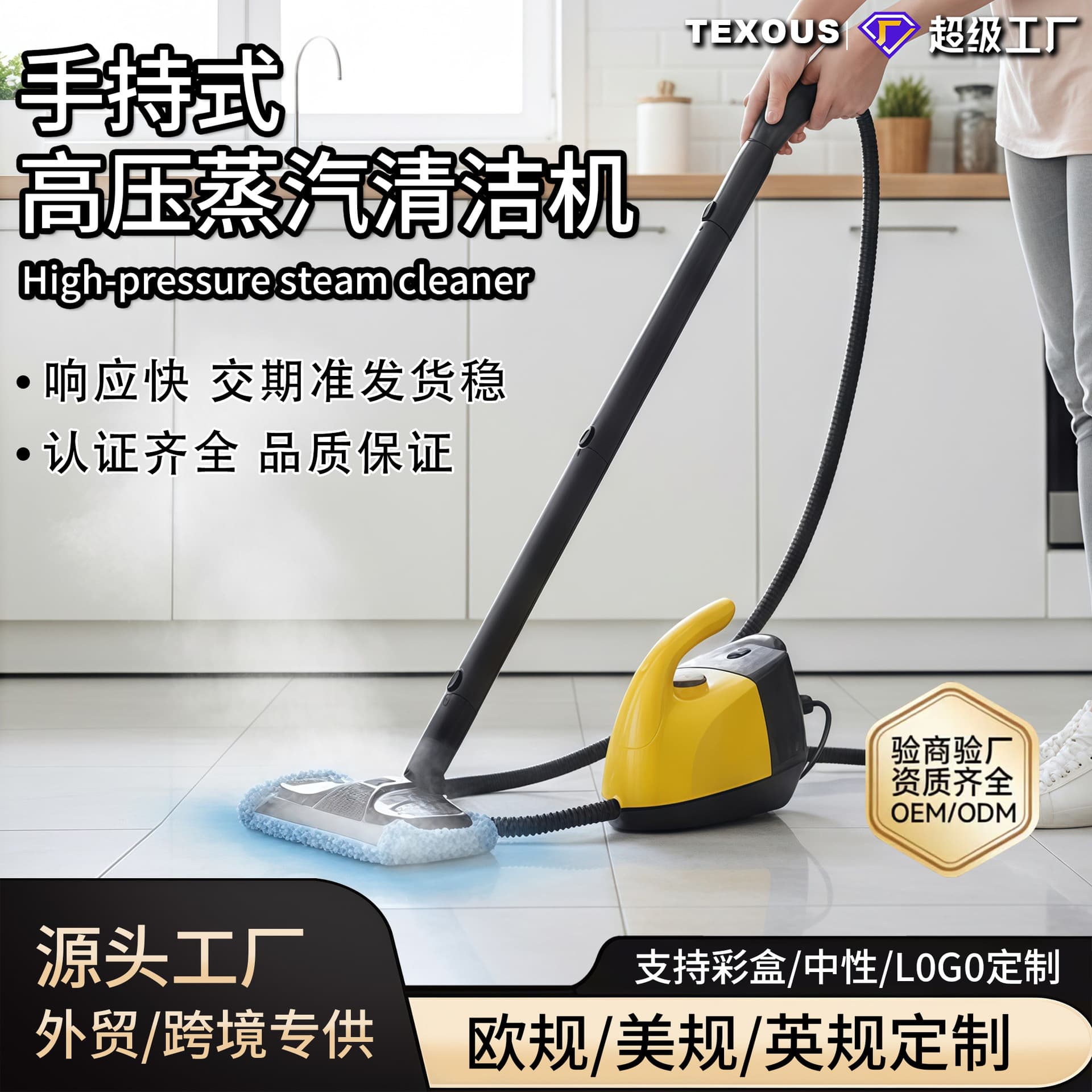 Cross-Border Multi-Function Portable Steam Mop High-Temperature Steam Cleaner Household High-Power Carpet and Sofa Cleaning