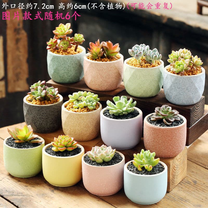 Flower pot ceramic small new style macaron stroke simple personality household succulent flower pot source factory one piece wholesale