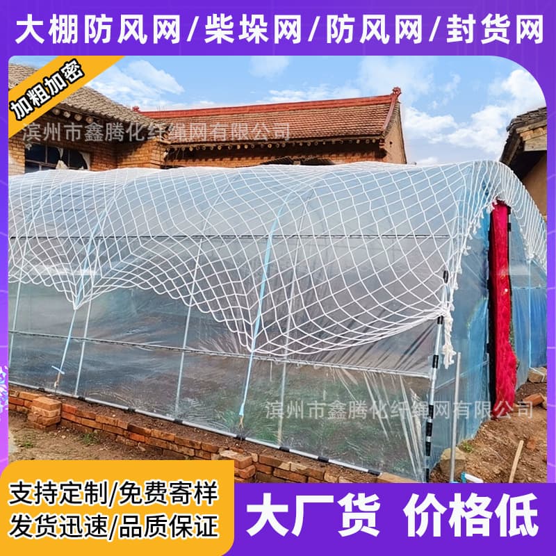 Greenhouse windbreak netting, agricultural covering netting, film pressing protection windbreak covering rope netting, large-hole nylon sealing netting