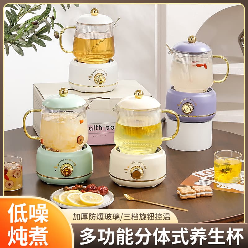 Electric slow cooker/kettle, small heating and stewing tea maker, glass health pot, Christmas event employee gift.