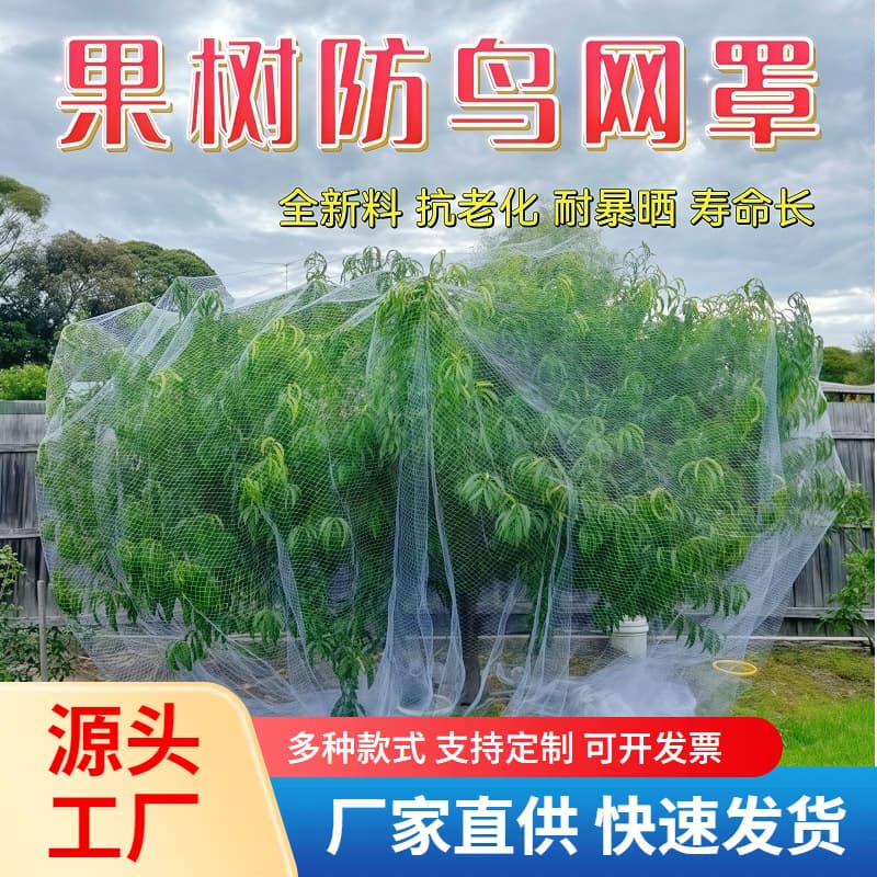 Fruit tree anti-bird net Jiabao tree anti-bird cover grape loquat cherry balcony vegetable garden anti-bird artifact nylon protective net