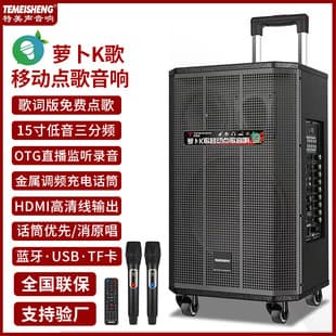 Temeisheng High-Power Square Dance Trolley Speaker Amplifier Outdoor Performance Live Streaming K-Song USB Bluetooth Speaker