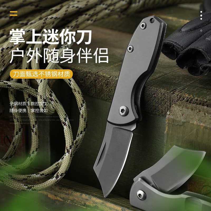 Small Folding Knife for Self-Defense, Pocket Knife, Survival Stainless Steel Fruit Knife, Keychain Foldable, Unsharpened