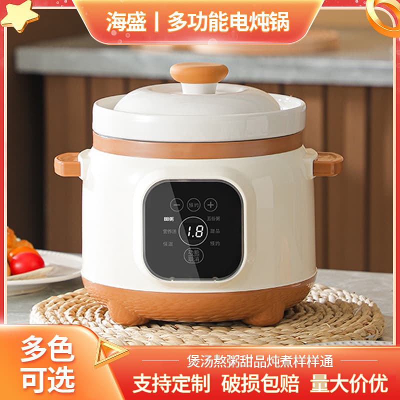 Home Health Electric Stew Pot, Congee and Soup Pot, Mini Multi-function Ceramic Small Stew Pot with Timer and Preset Function