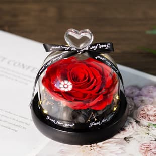 Small Heart Preserved Flower Birthday Valentine's Day Mother's Day Teacher's Day Gift Rose Decoration Handmade Floral Craft