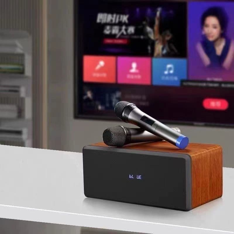 Home Karaoke System with TV Connectivity, All-in-One Wireless Microphone for Singing