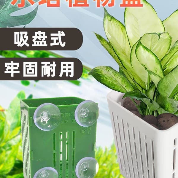 Hydroponics fixed basket fish tank aquatic plants fixed suction cup fixed basket planting cup fish tank landscaping decorative green radish planting basket