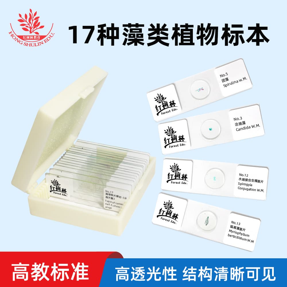 Algae Plant Specimen Slides - 17 Typical Structural Types Including Volvox, Desmid, Nostoc, Biological Experiment Microslides