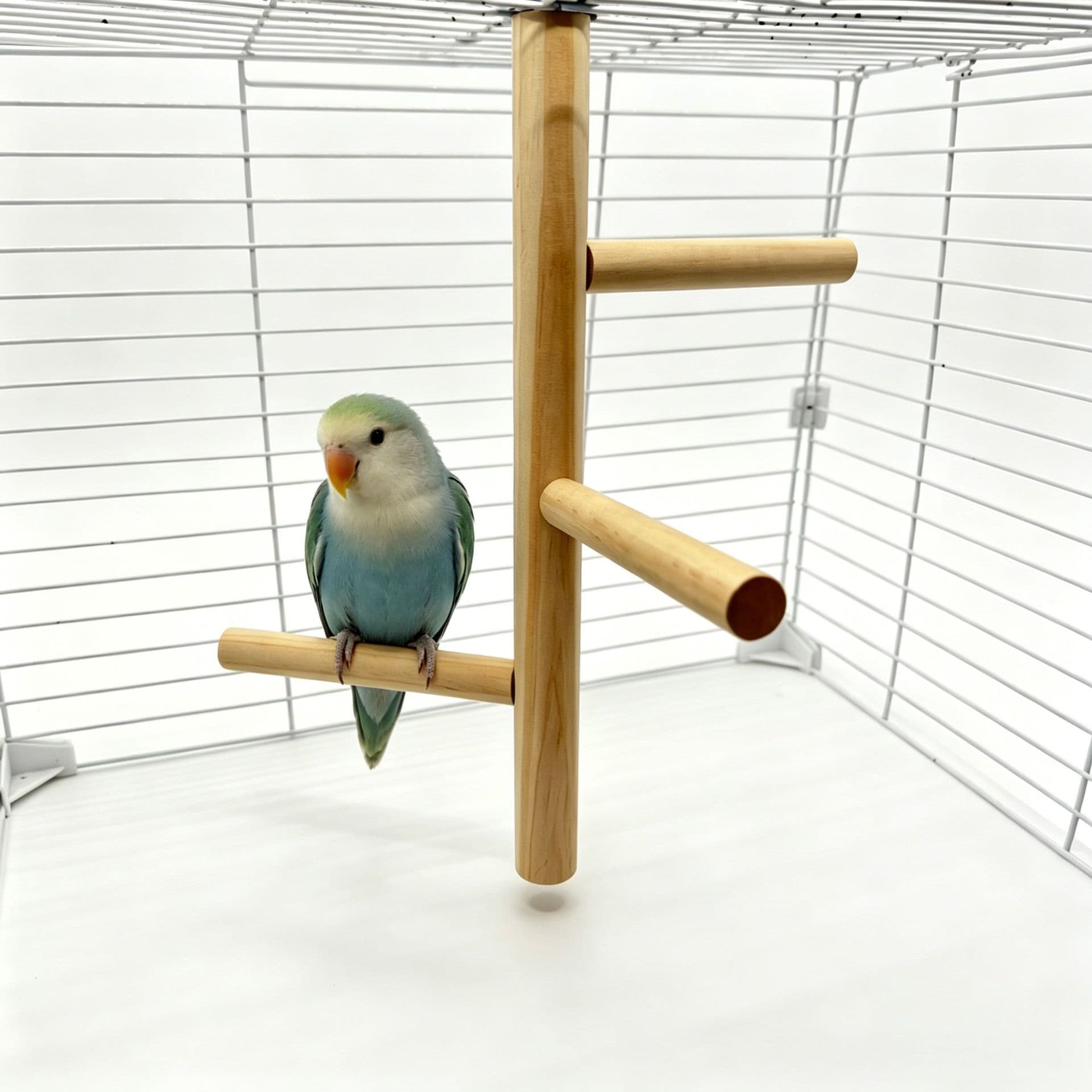 Cross-border hot pine three-branch standing pole bird ladder swing parrot rotating station pole bird toy branch solid wood climbing pet