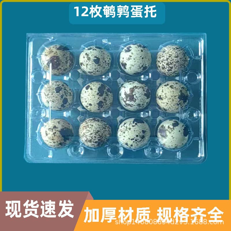 12-Quail Egg Tray, Blister PVC Plastic Box, Quail Egg Packaging Box, PET Transparent Plastic Egg Box, Factory Direct Sales