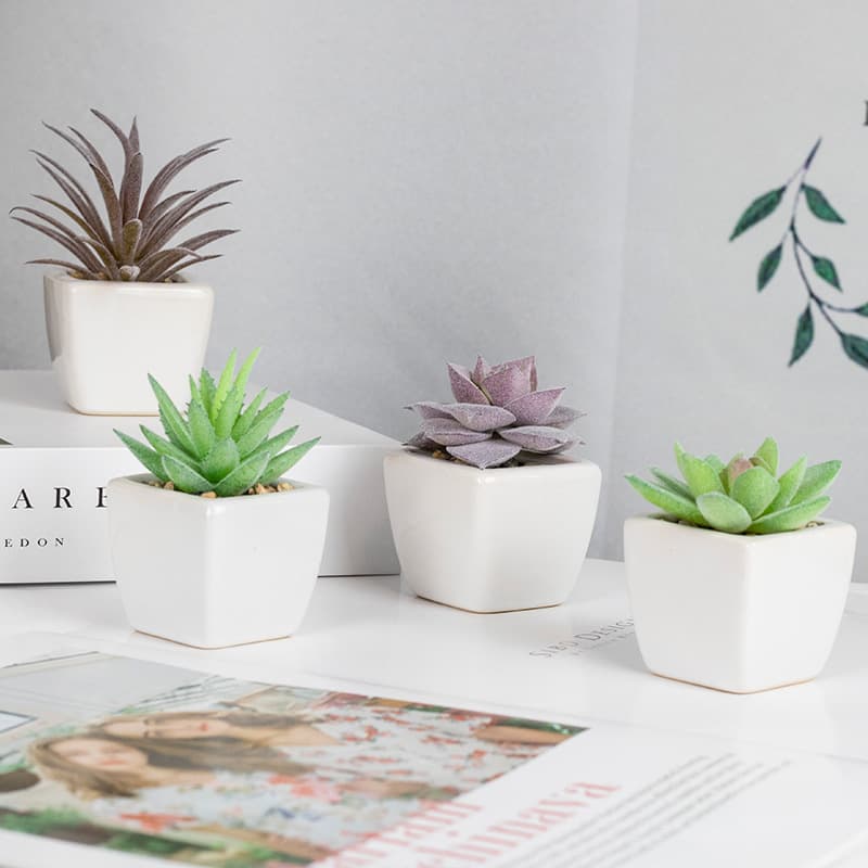 Artificial Succulent Mini Set Plastic Bonsai Fake Flowers Home Decoration Small Potted Green Plants Succulents