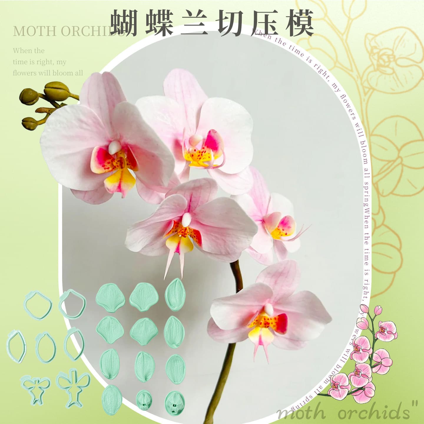 Phalaenopsis simulated flower cutting mold fondant mold clay sugar flower baking tool set petal shaping mold