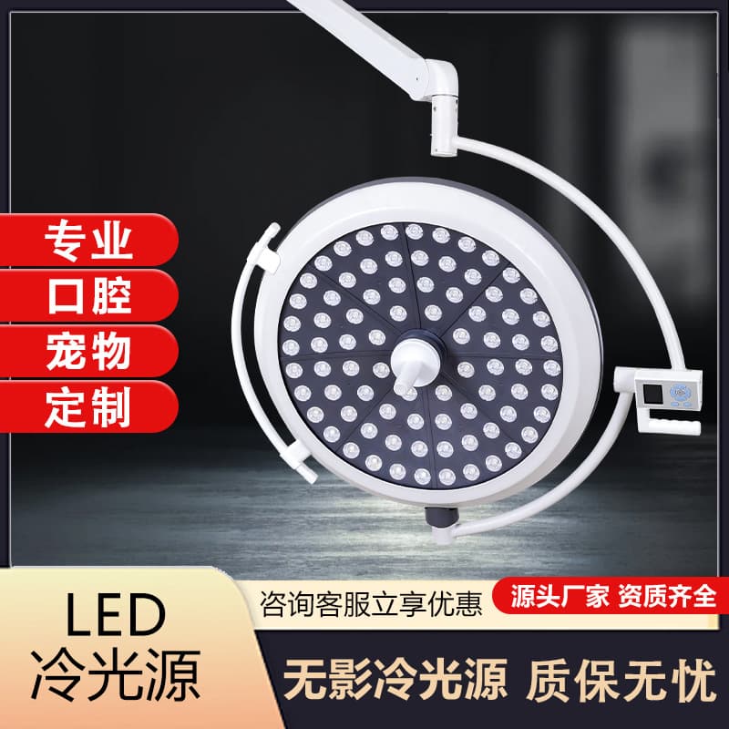 LED Shadowless Light Dual-Head Ceiling Cold Light Examination Lamp with External Camera for Gynecology, Oral, Pet, Wholesale Available