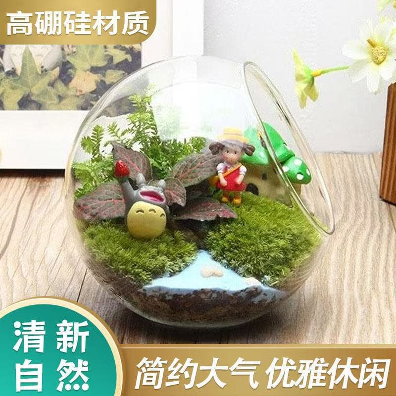 Micro Landscape Plant Eco-Bottle High Borosilicate Glass Craft Green Plant Potted Succulent Transparent Vase
