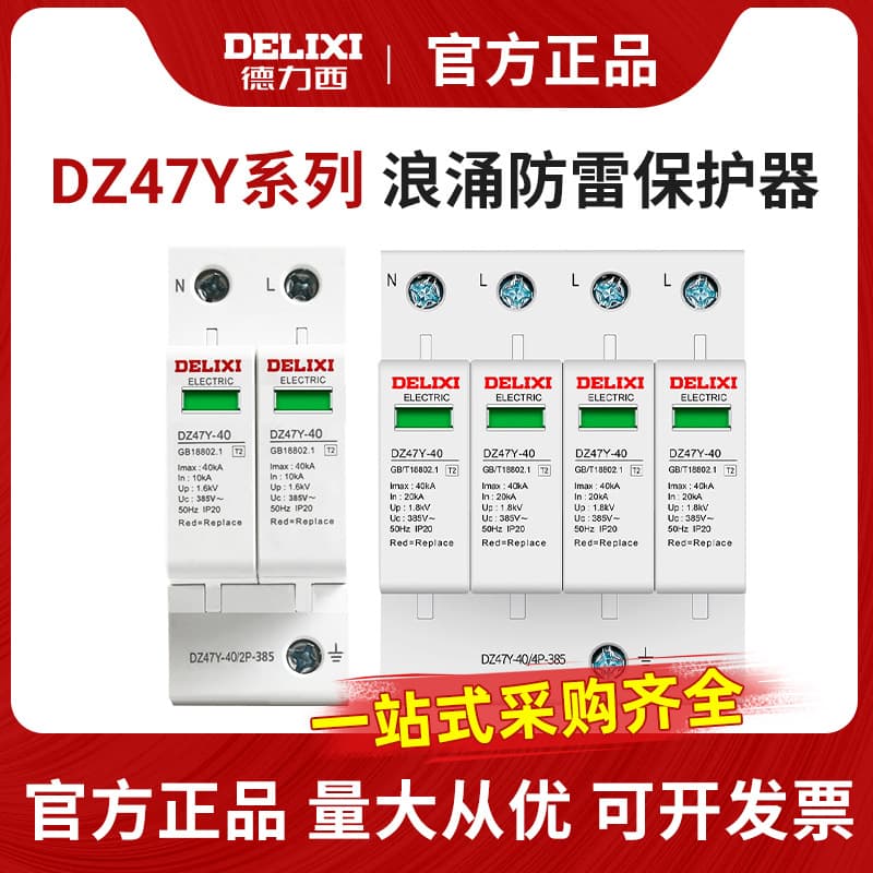Delixi Surge Protector Lightning Arrester 4P Three-Phase Single-Phase Home DZ47Y-40 Switch Lightning Protection Circuit Breaker 220V