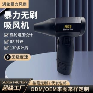Cross-border New Powerful Fan Snow Blowing Ash Blowing Ignition Outdoor Camping Detachable DC Battery Pack Turbo Leaf Blower